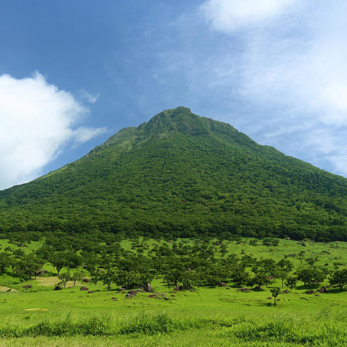 일본 후쿠오카 유후인 일일 버스투어, 다자이후 유후인 유후다케 벳푸 가마도지옥