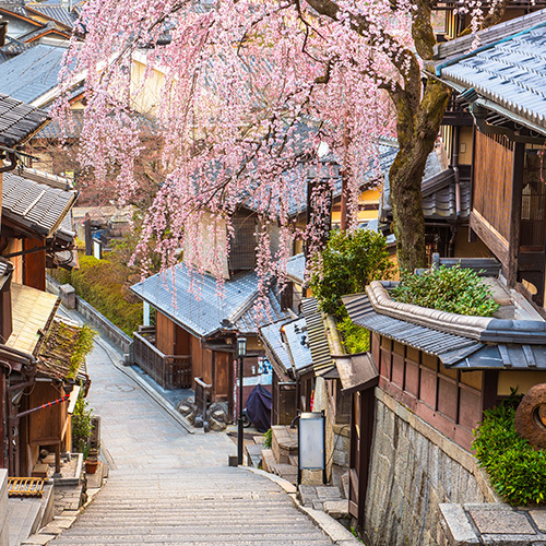 일본 관서지방 오사카 출발 교토 버스 투어 여행, 그리고 갖가지 혜택 포함