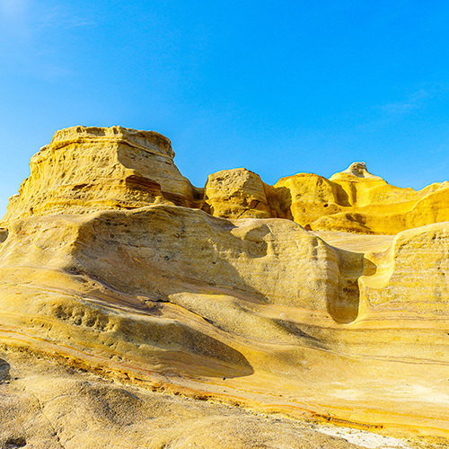 일본 교토 근교 시라하마·산단베키·엔게츠도 버스 투어
