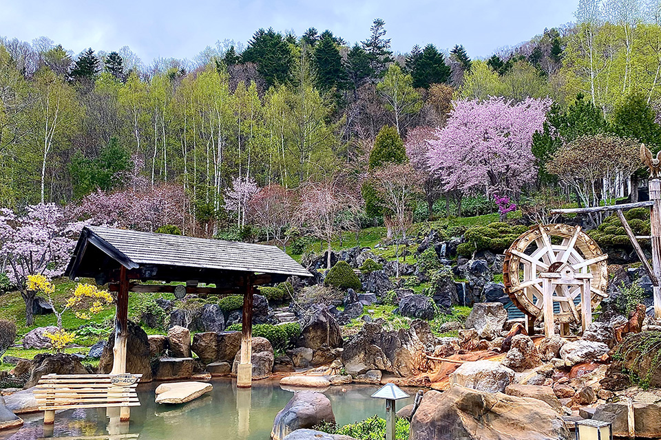 일본 북해도 삿포로 출발 부처의 언덕 오타루 조잔케이 호헤이쿄 버스 투어