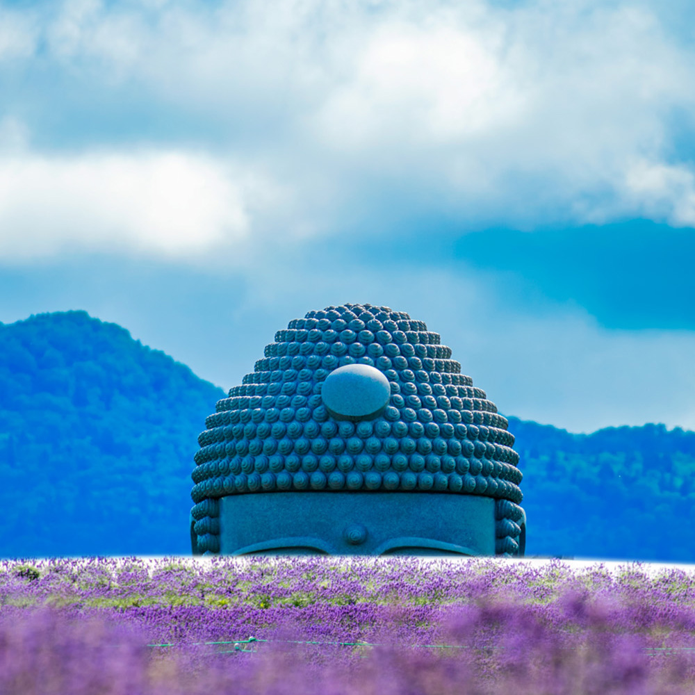 일본 북해도 삿포로 출발 부처의 언덕 오타루 조잔케이 호헤이쿄 버스 투어