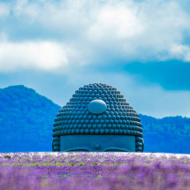 일본 북해도 삿포로 출발 부처의 언덕 오타루 조잔케이 호헤이쿄 버스 투어