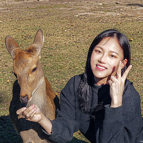 일본 오사카 출발 나라 교토 버스 투어