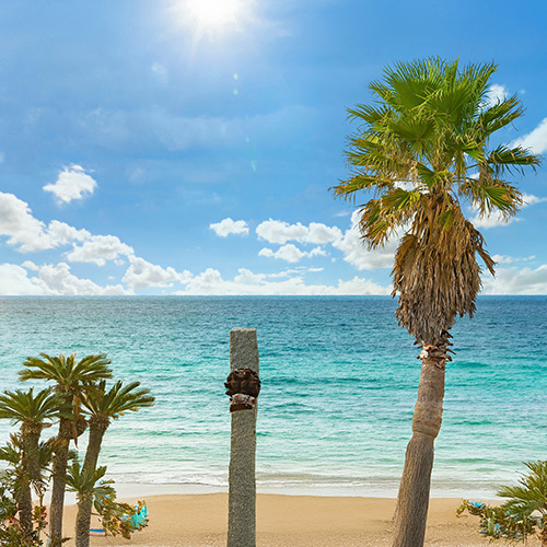 이토시마 반나절 버스 투어 후쿠오카 공항 경유 라이카 무료 사진 촬영