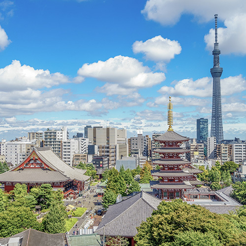 [여행 한 그릇] 신주쿠 출발 도쿄 도심 버스 투어, 아사쿠사 오다이바 크루즈 포함, 도쿄 야경 투어